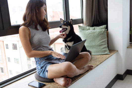 How to Create a Safe and Comfortable Home for Your New Pet