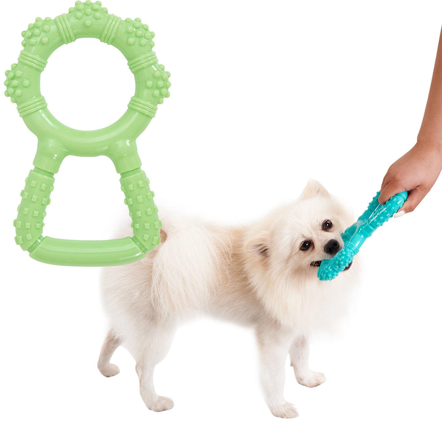 Interactive Chew Toy