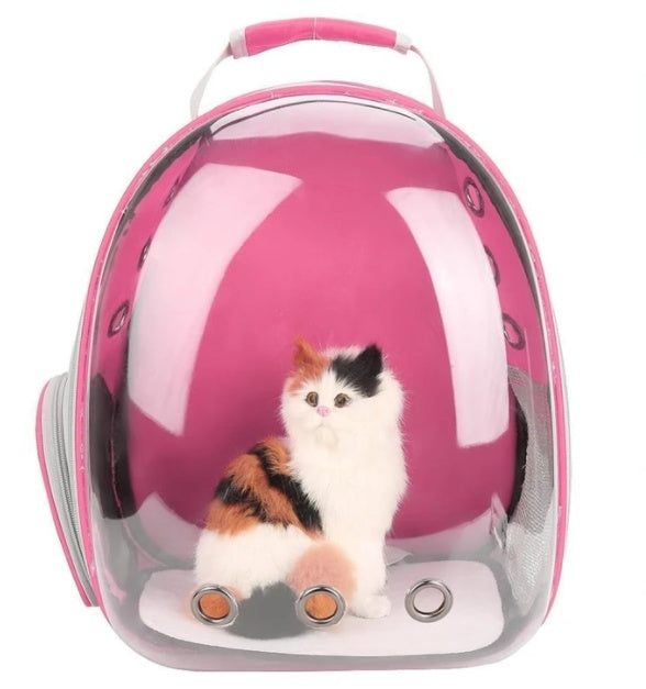 Full Transparent Carrier Backpack