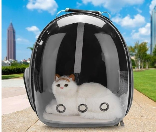 Full Transparent Carrier Backpack