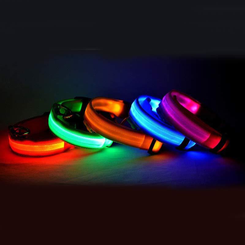 LED Nylon Collar