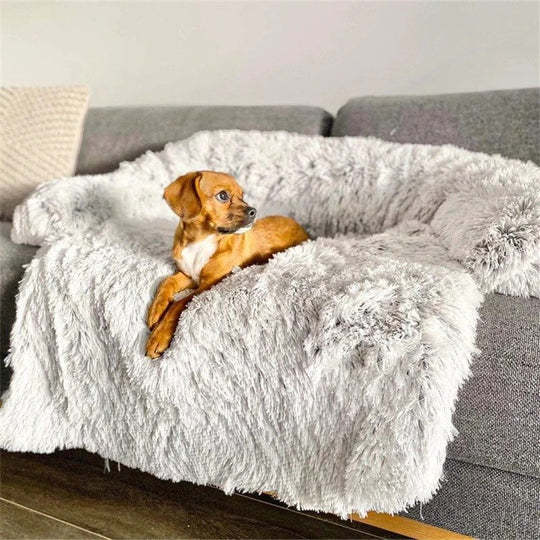 Comfortable Soft Bed