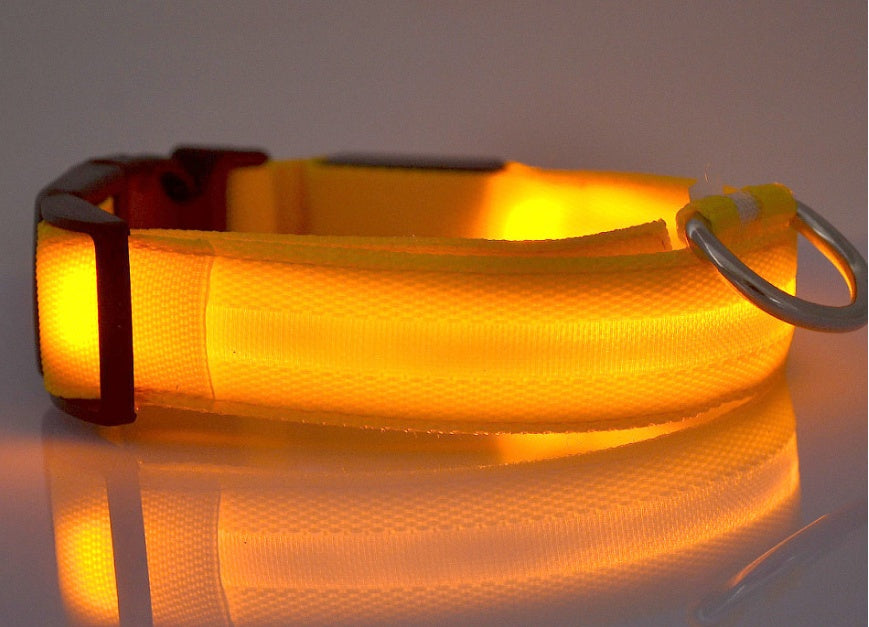 LED Nylon Collar