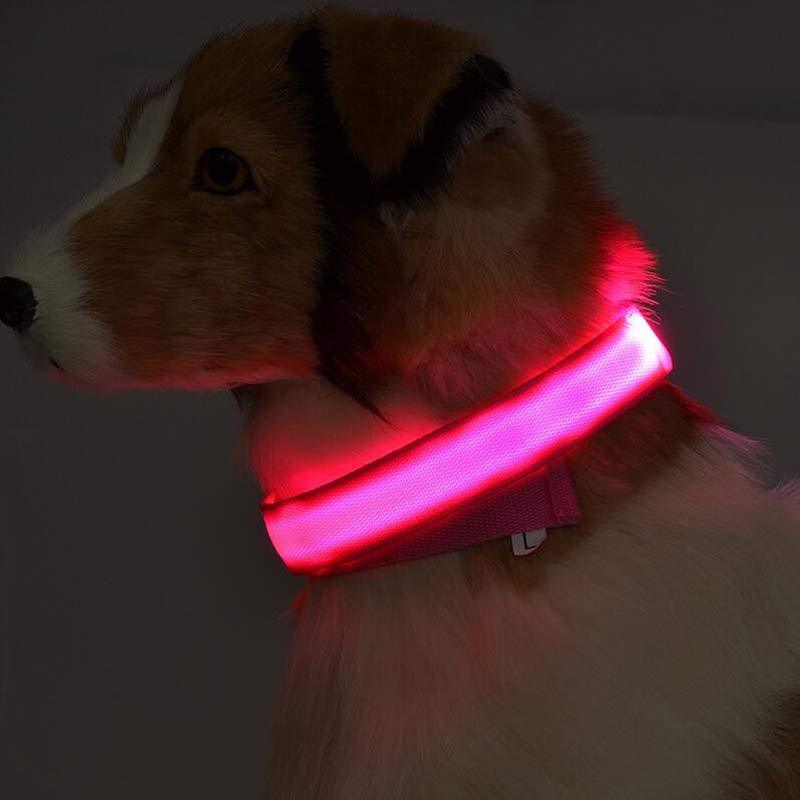 LED Nylon Collar