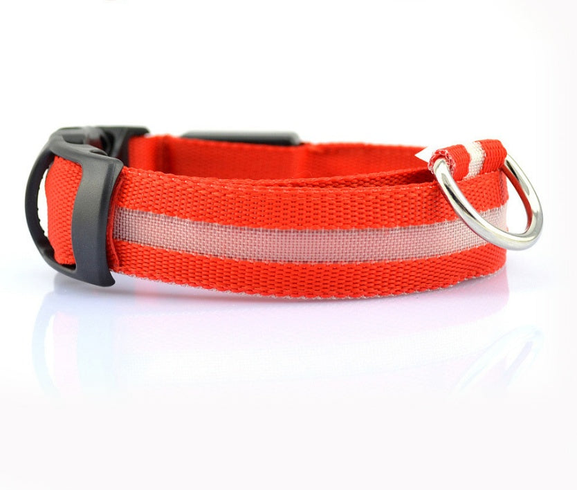 LED Nylon Collar