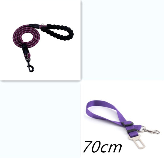 Reflective Nylon Leash
