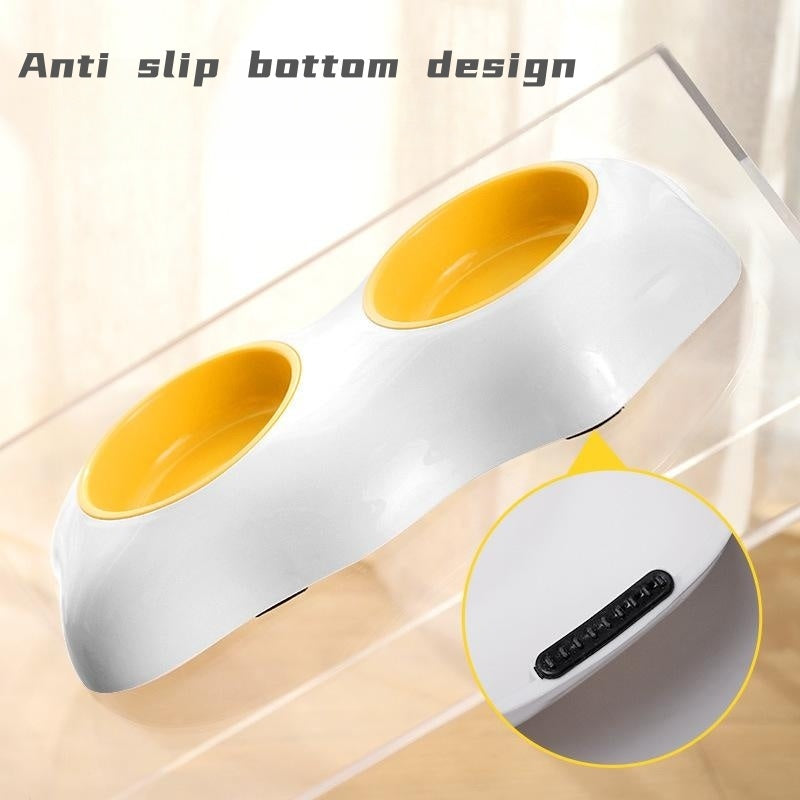 Elevated Feeding Bowl