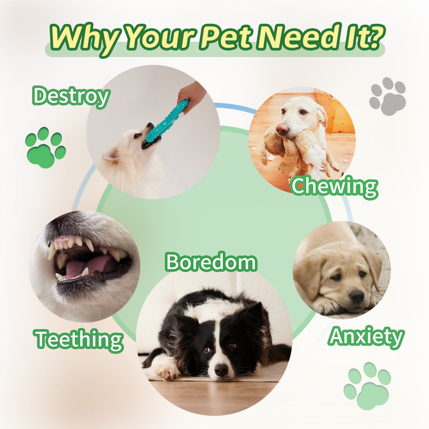 Interactive Chew Toy