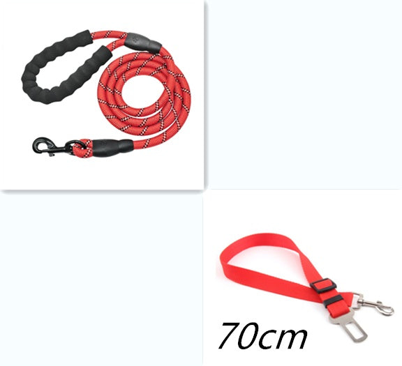 Reflective Nylon Leash