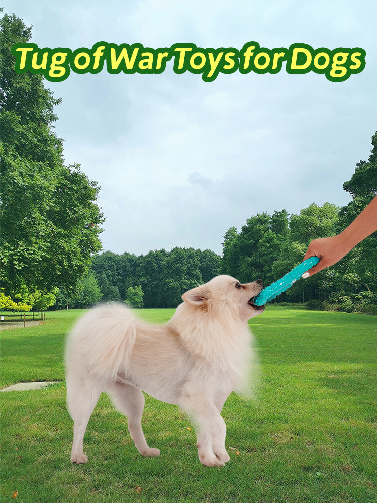 Interactive Chew Toy