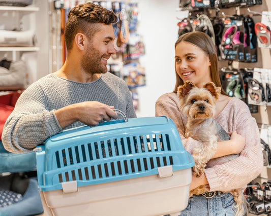Choosing the Perfect Pet Accessories for Your Furry Friend