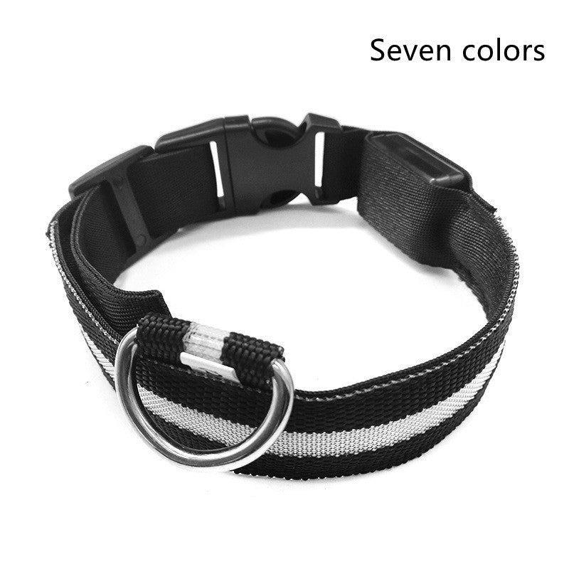 LED Nylon Collar