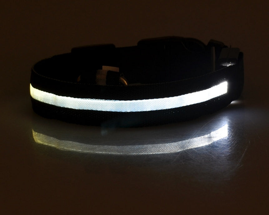 LED Nylon Collar