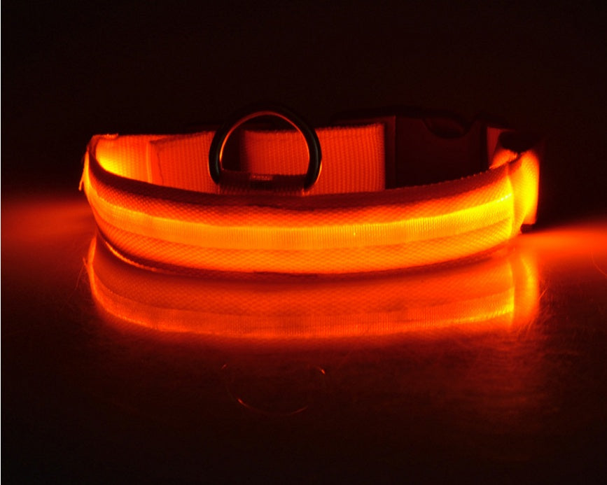 LED Nylon Collar