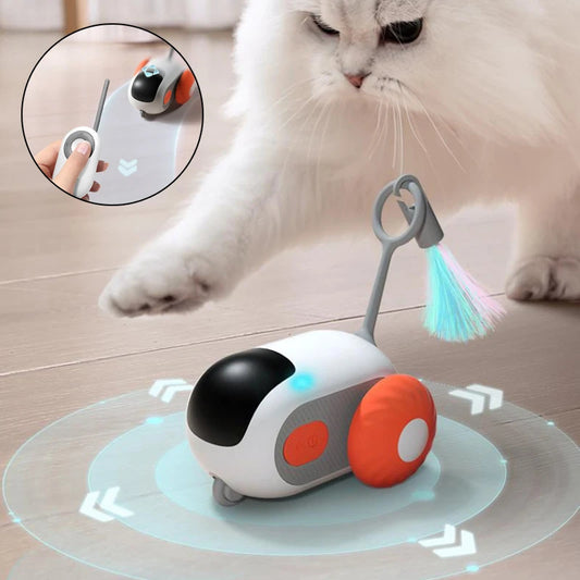 Remote Control Toy