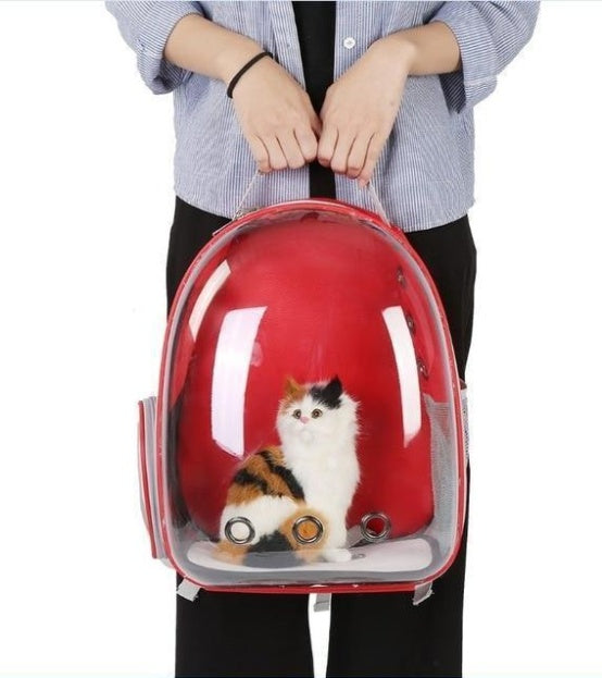 Full Transparent Carrier Backpack