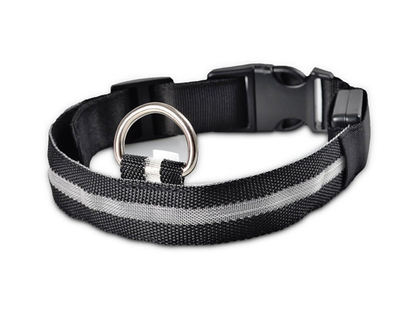 LED Nylon Collar