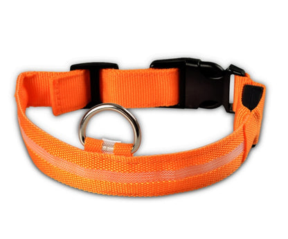 LED Nylon Collar