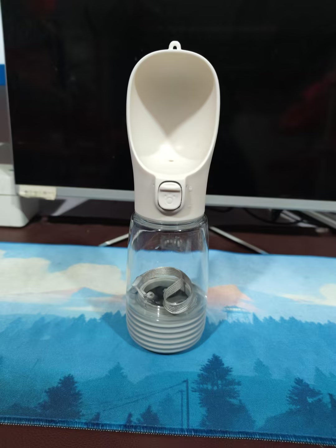Portable Water Bottle