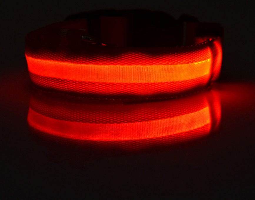 LED Nylon Collar