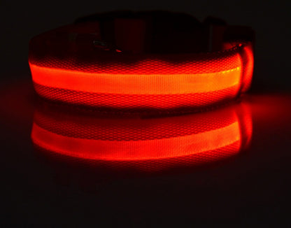 LED Nylon Collar