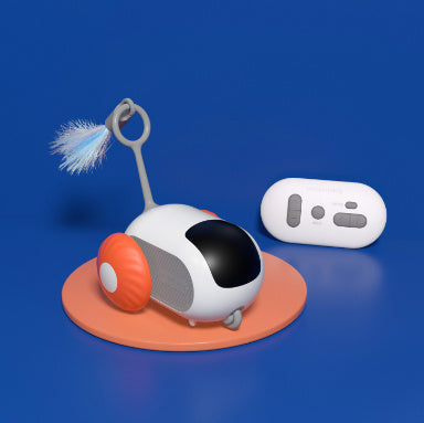 Remote Control Toy