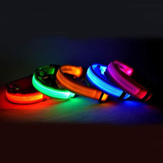 LED Nylon Collar