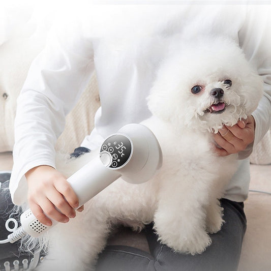 Smart Hair Dryer Grooming Comb