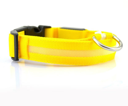 LED Nylon Collar