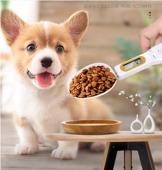 Digital Food Weighing Spoon