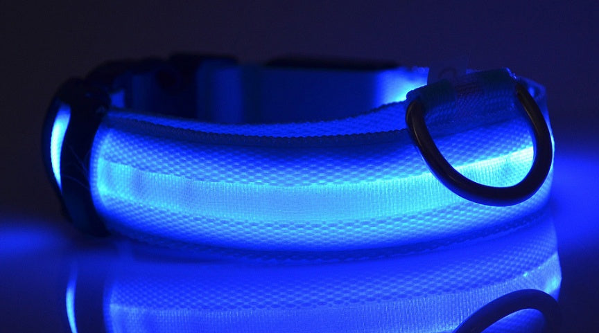 LED Nylon Collar