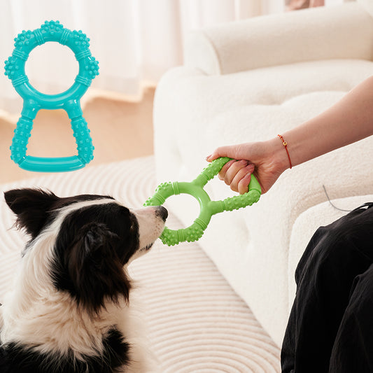 Interactive Chew Toy
