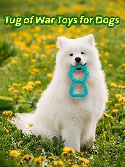 Interactive Chew Toy