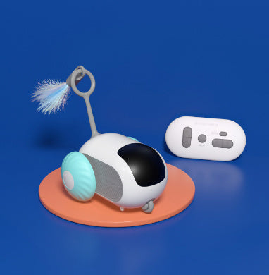 Remote Control Toy