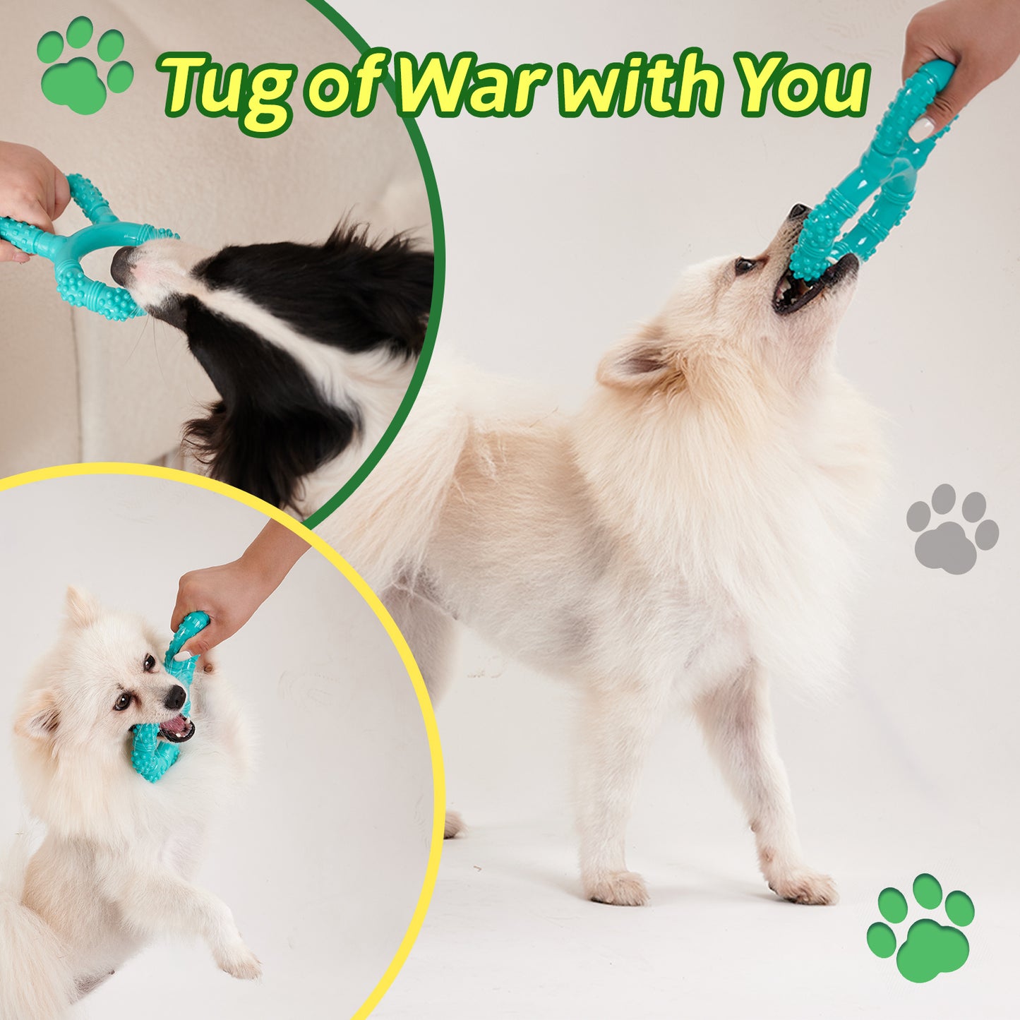 Interactive Chew Toy