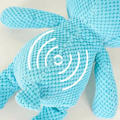 Large Squeaky Plush Toy